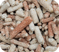 Corn cob
